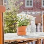 Experience East Frisia At The Gulfhof *