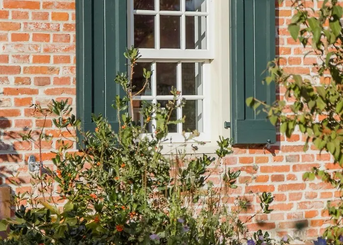 Experience East Frisia At The Gulfhof Hinte